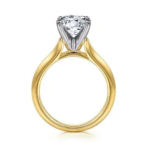 14K White-Yellow Gold Round Diamond Engagement Ring-Ellis