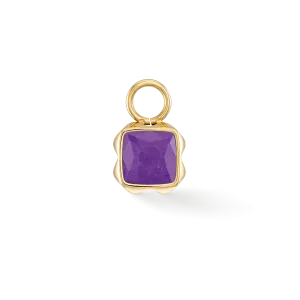 Birthstone February Charm Sugilite Gold