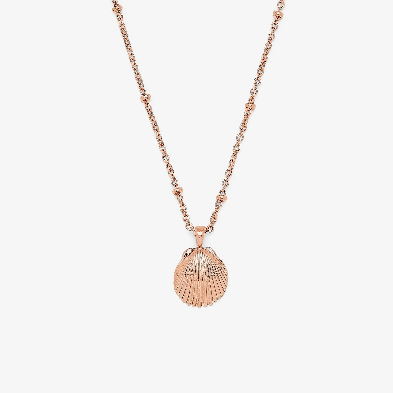 Satellite Shell Pendant Necklace